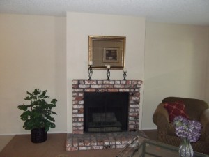 apts california: fireplace