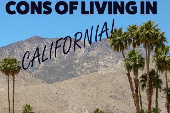 Palm Trees and mountains in California