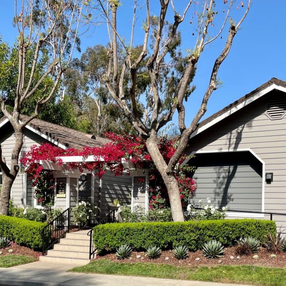 Cheap Apartment Rentals in California 7 Cities With the Absolute