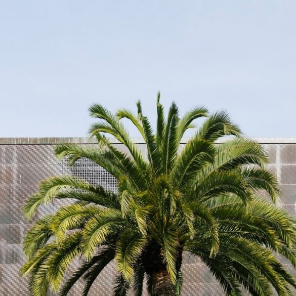 Cheap Apartment Rentals in California: 7 Cities With the Absolute